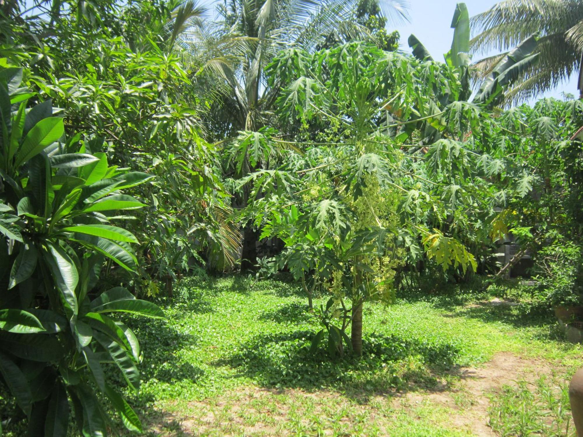 Local Beach Homestay Hội An Buitenkant foto